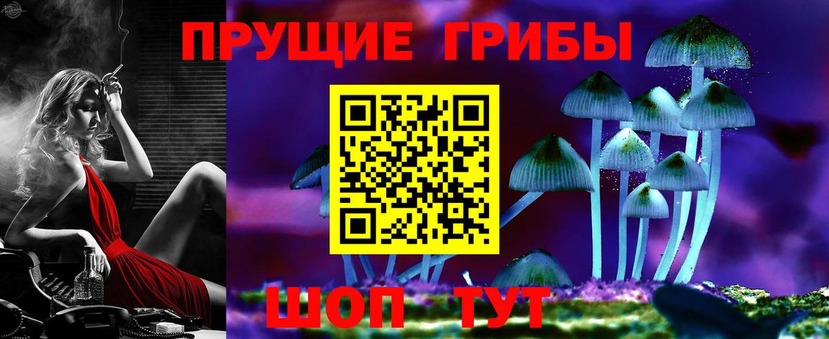 Галлюциногенные грибы Cubensis  Вход с VPN  Пугачёв 